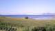 Laukvik 16.07.2025 16:56