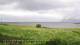 Laukvik 14.06.2025 16:52