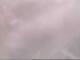 Fort Lauderdale, Florida 03.07.2025 16:49