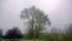 Harriman, New York 08.06.2025 16:51