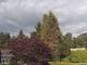 Son en Breugel 11.07.2025 17:46