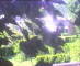 Flachau (Salisburgo) 14.06.2025 17:52