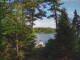 Hoel Pond, New York 10.07.2025 17:52