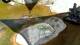 San Diego, California 08.05.2025 17:59
