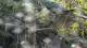 San Diego, California 03.07.2025 17:59