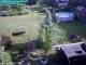 Vechelde 08.05.2025 17:54