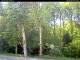 Hilversum 08.05.2025 17:54