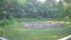 Tustin, Michigan 29.06.2025 17:53