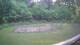 Tustin, Michigan 14.06.2025 17:53