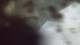 Buchanan, Virginia 11.07.2025 17:58