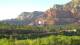 Sedona, Arizona 16.03.2025 17:45