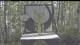 Powderhorn Resort, Colorado 08.06.2025 17:54