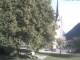Bayrischzell 20.06.2025 17:46