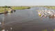 Greetsiel 30.04.2025 17:54