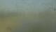 Monroe, Michigan 14.07.2025 17:06