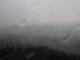 Weinheim 15.07.2025 17:04