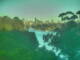Linley Point 14.07.2025 17:05