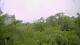 Metairie, Louisiana 14.06.2025 17:09