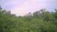 Metairie, Louisiana 11.07.2025 17:09