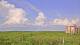 Saint Petersburg, Florida 11.07.2025 17:09