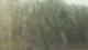 Fairview, Tennessee 08.06.2025 17:10