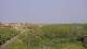 Juist 08.06.2025 17:57