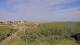 Juist 03.07.2025 17:57