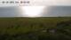 Søby (Ærø) 14.06.2025 17:57