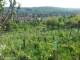 Feuerbach 30.04.2025 17:58