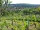 Feuerbach 22.04.2025 17:58