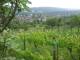Feuerbach 08.06.2025 17:58