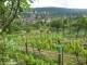 Feuerbach 18.05.2025 17:58