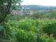 Feuerbach 11.06.2025 17:58