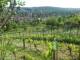 Feuerbach 10.05.2025 17:58