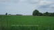 't Zandt 08.06.2025 17:58