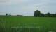 't Zandt 14.06.2025 17:58