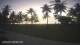 Malolo Lailai 15.06.2025 17:58
