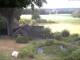 Schneverdingen 09.07.2025 17:47