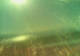 Sveti Vid-Miholjice (Krk) 11.05.2025 17:59