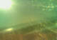 Sveti Vid-Miholjice (Krk) 30.04.2025 17:59