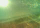 Krk - Sveti Vid-Miholjice 29.04.2025 17:59