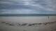 Diani Beach 01.07.2025 17:01