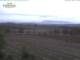 Stellenbosch 29.04.2025 17:01
