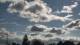 Hewlett, New York 12.05.2025 17:17