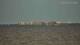 Bokeelia, Florida 30.04.2025 17:02