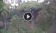 La Orotava (Teneriffa) 30.04.2025 17:04