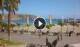 Los Christianos (Tenerife) 29.04.2025 17:04