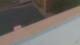 Colorado Springs, Colorado 29.04.2025 17:19