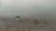 Colorado Springs, Colorado 30.04.2025 17:21