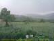 Cantalupo Ligure 08.07.2025 17:04